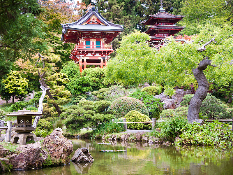 Japanese Teagarden with pond and trees