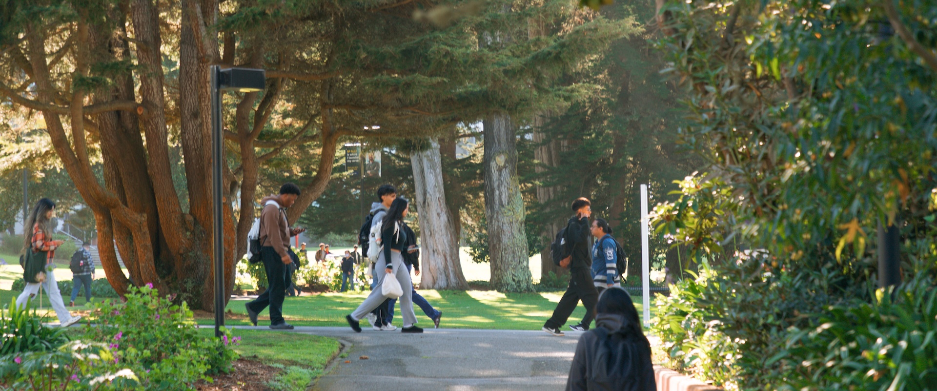 students on campus walking near shade trees and green grass